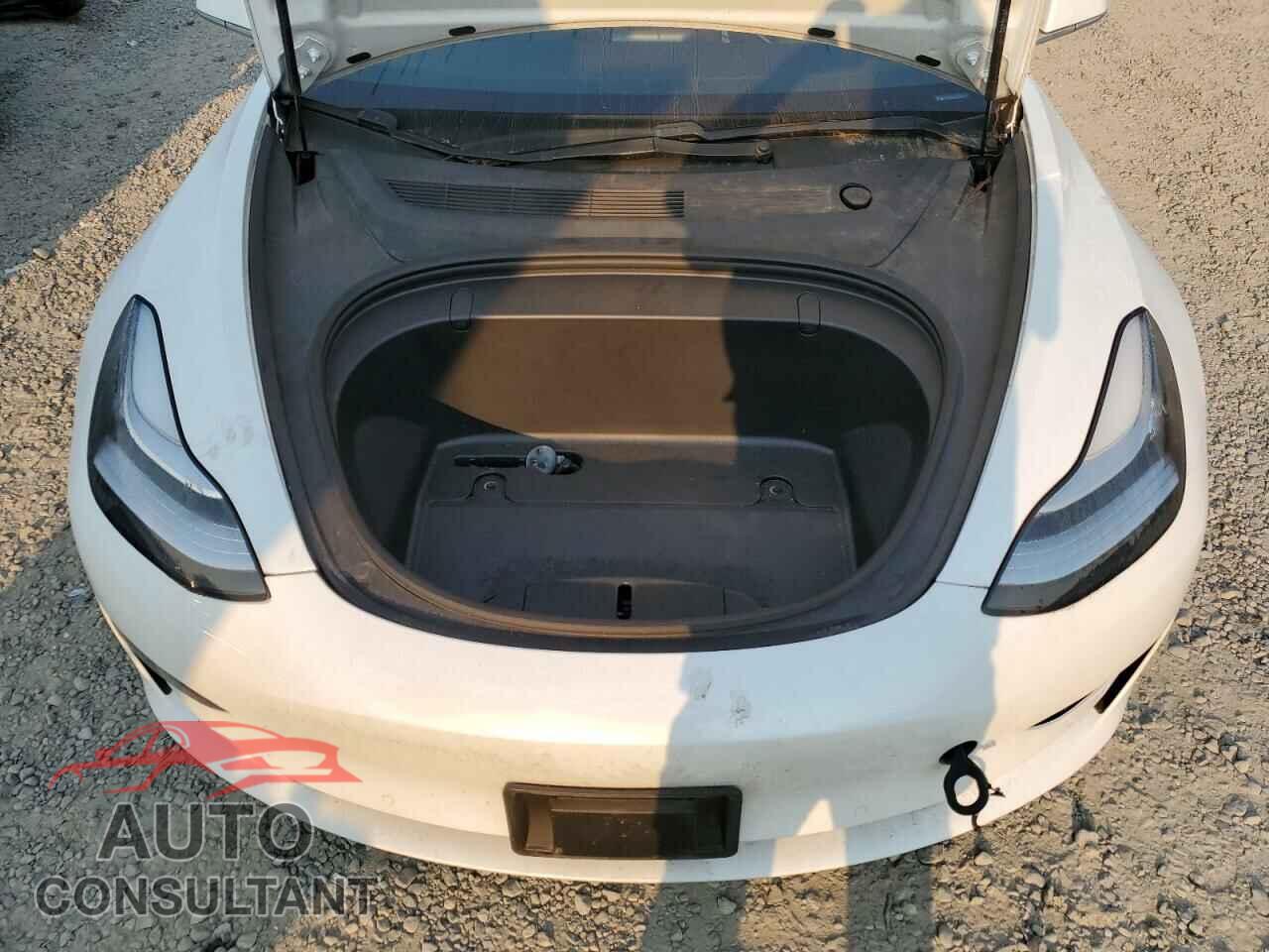 TESLA MODEL 3 2019 - 5YJ3E1EA2KF446497
