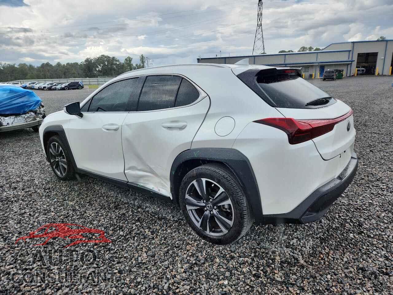 LEXUS UX300H 2025 - JTHYBJAH5S2035565