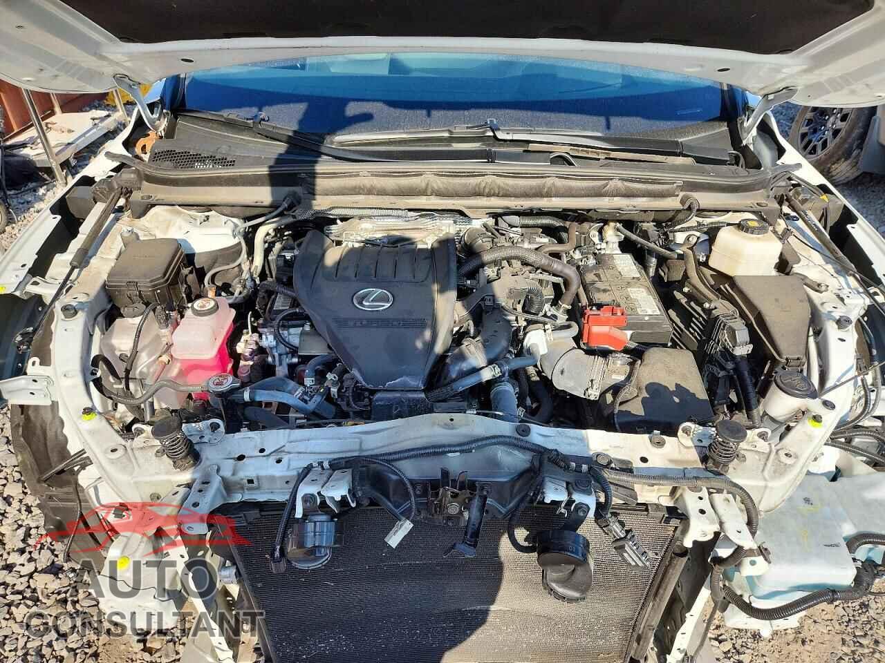 LEXUS RX350 2024 - 2T2BAMBA3RC024178