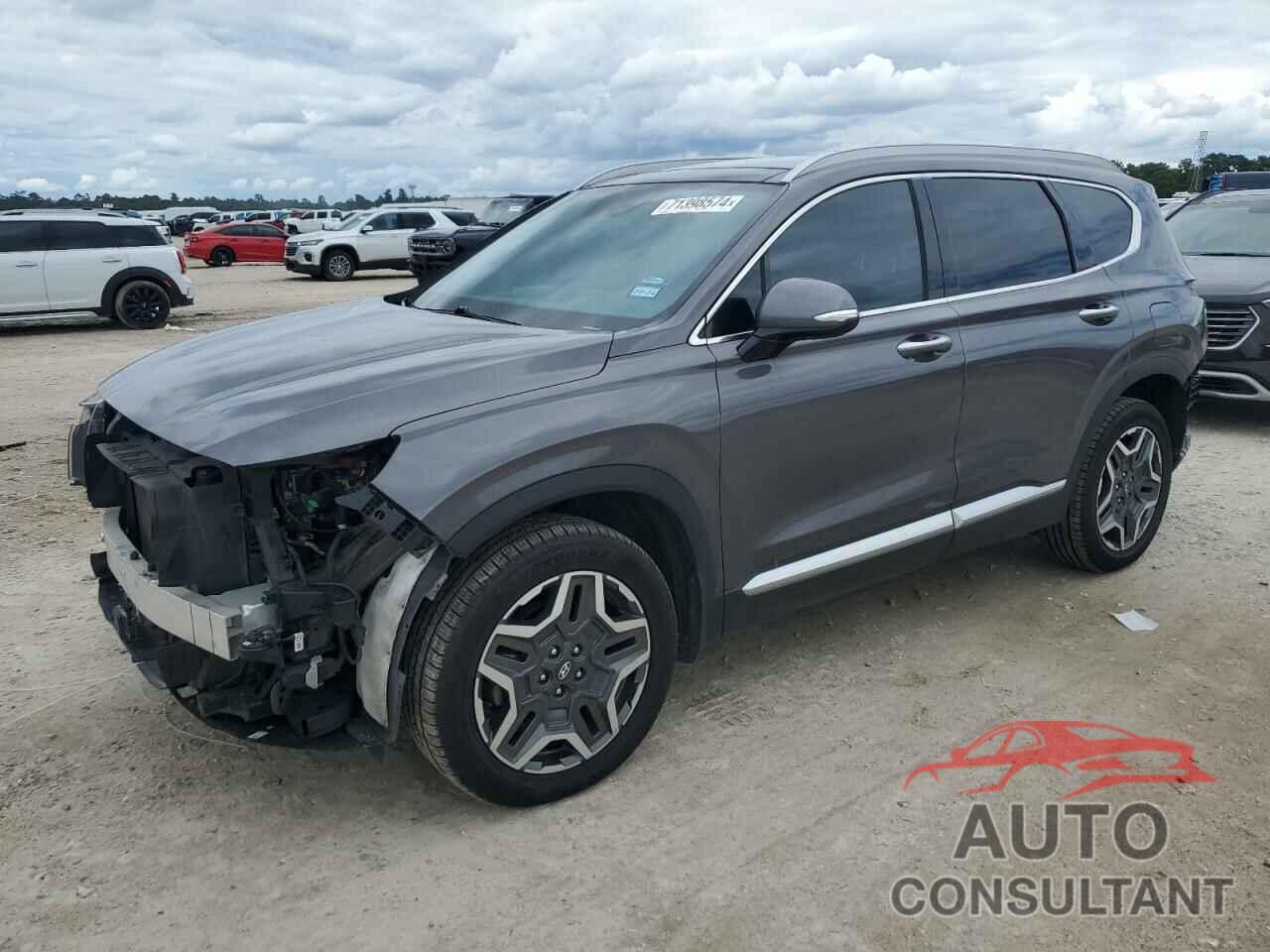 HYUNDAI SANTA FE 2021 - KM8S3DA13MU013558