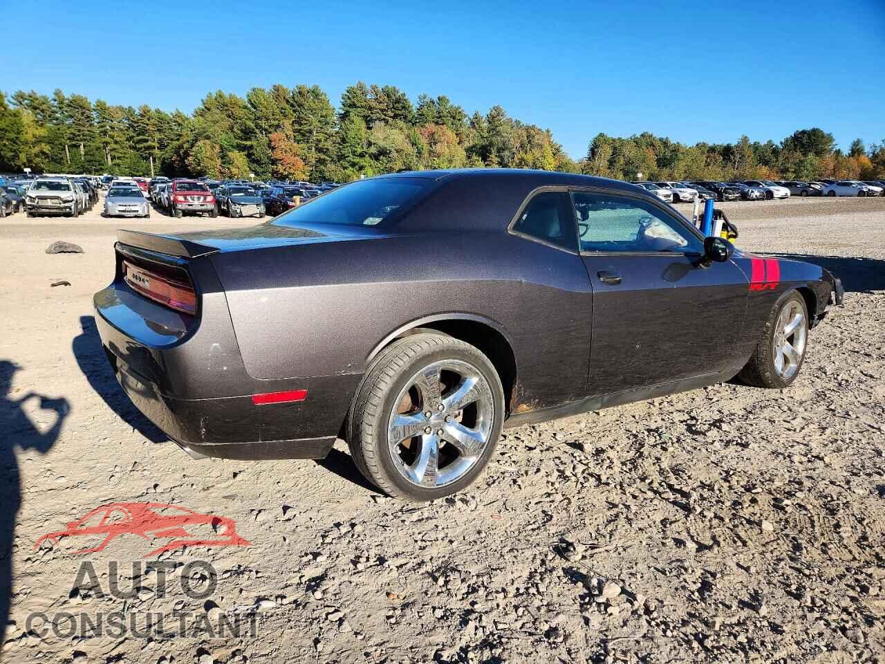 DODGE CHALLENGER 2013 - 2C3CDYBT0DH710349