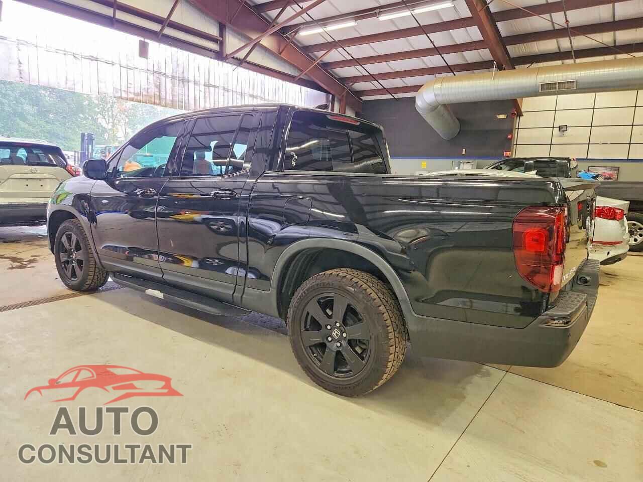 HONDA RIDGELINE 2019 - 5FPYK3F85KB009946