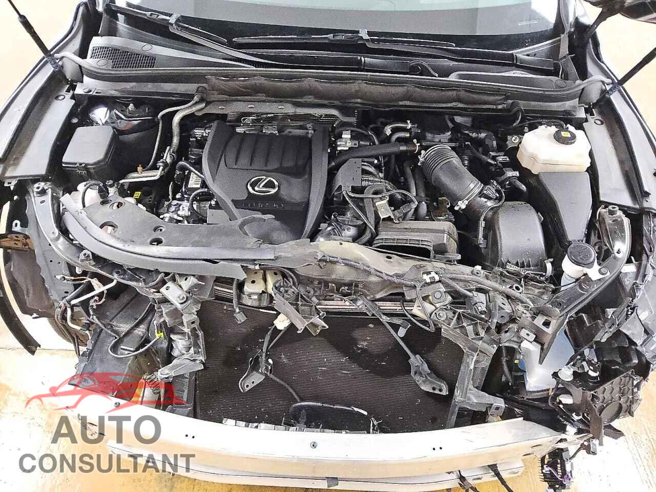LEXUS RX450 2024 - 2T2BCMEA7RC018535