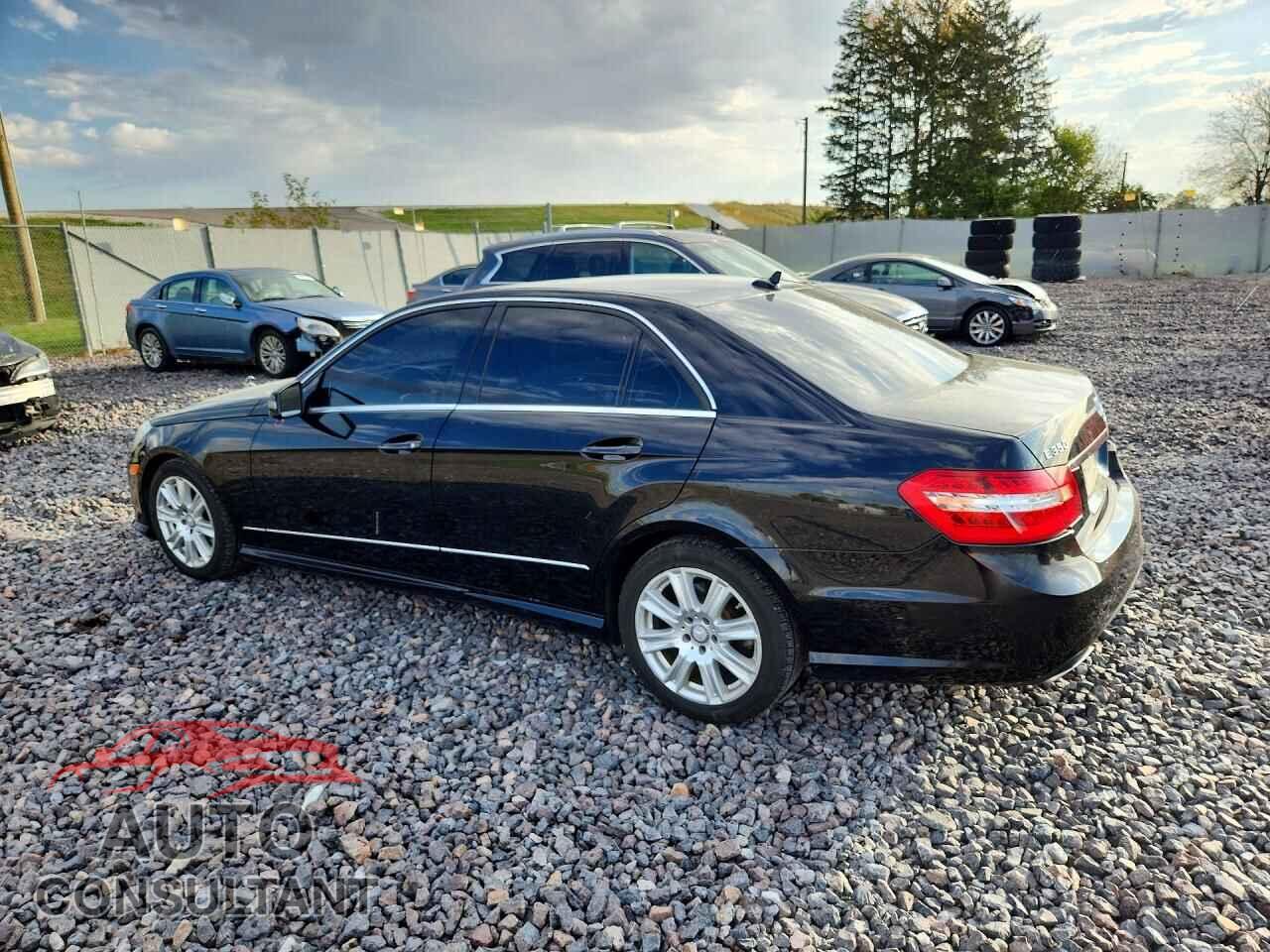 MERCEDES-BENZ E-CLASS 2013 - WDDHF8JB7DA717341