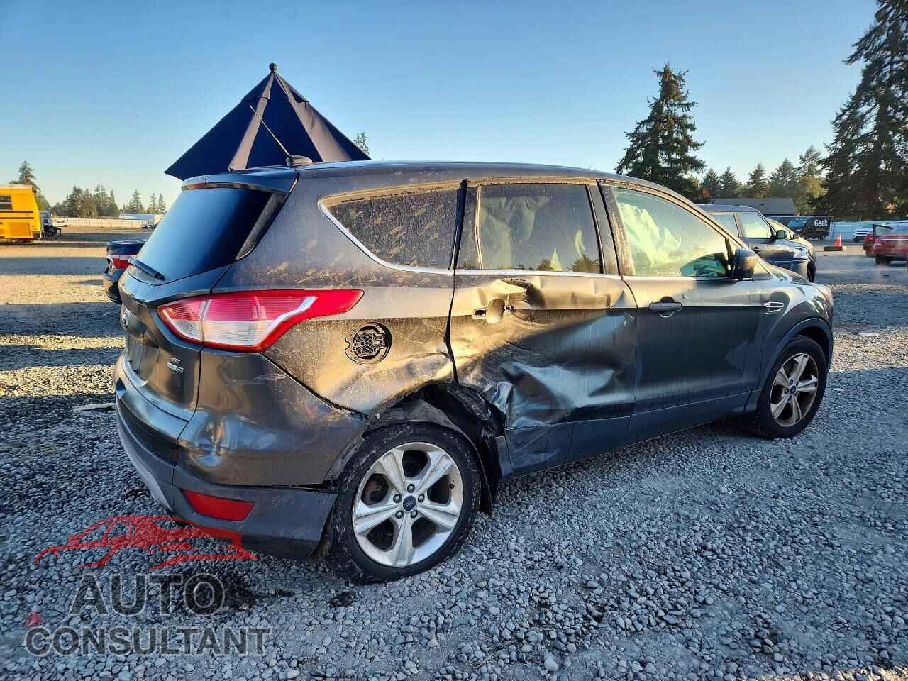 FORD ESCAPE 2016 - 1FMCU9G99GUC14137