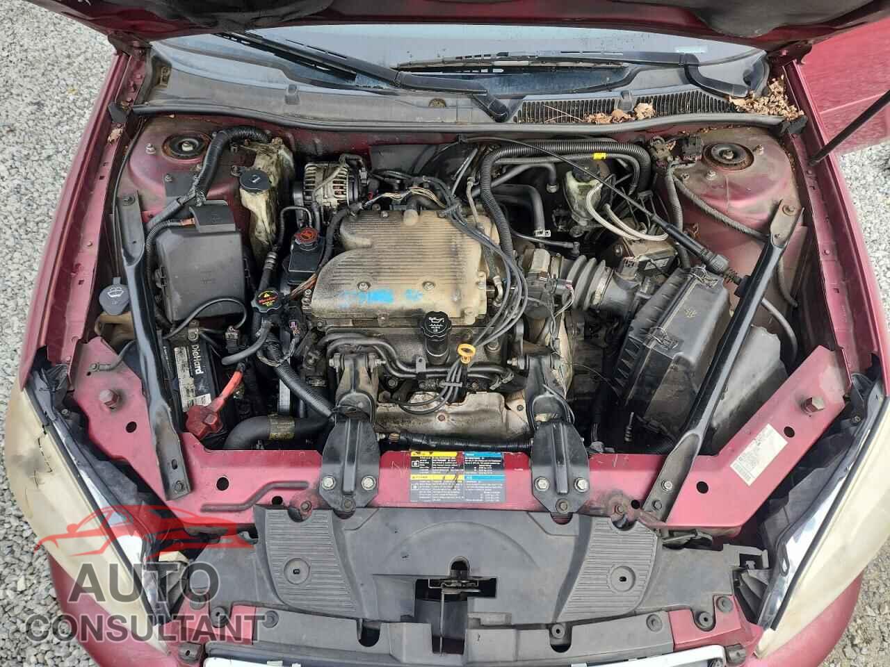 CHEVROLET IMPALA 2009 - 2G1WT57K891180523