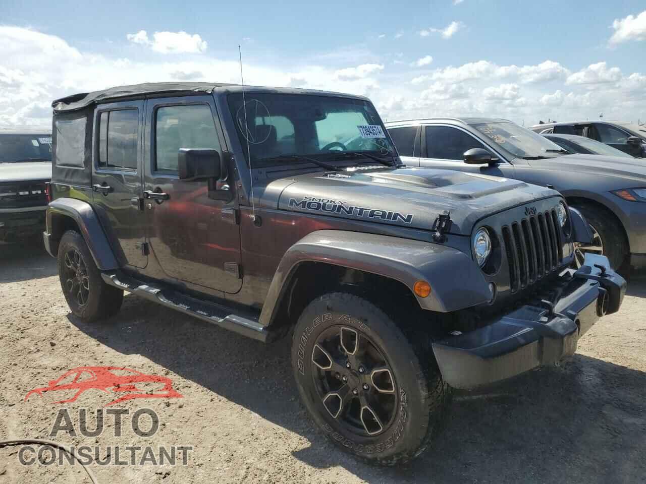 JEEP WRANGLER 2017 - 1C4BJWEG3HL674913