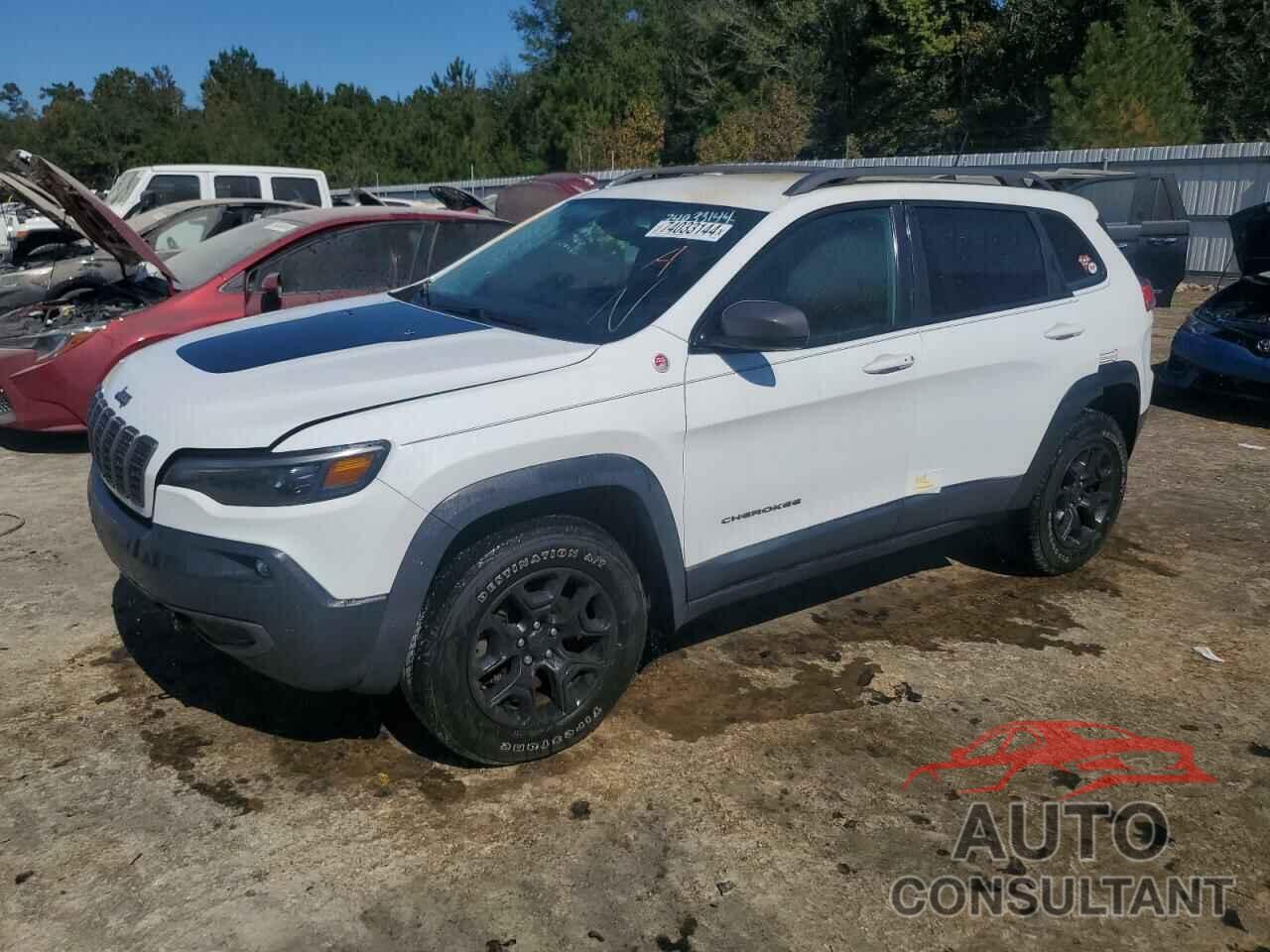JEEP CHEROKEE 2020 - 1C4PJMBX4LD613782
