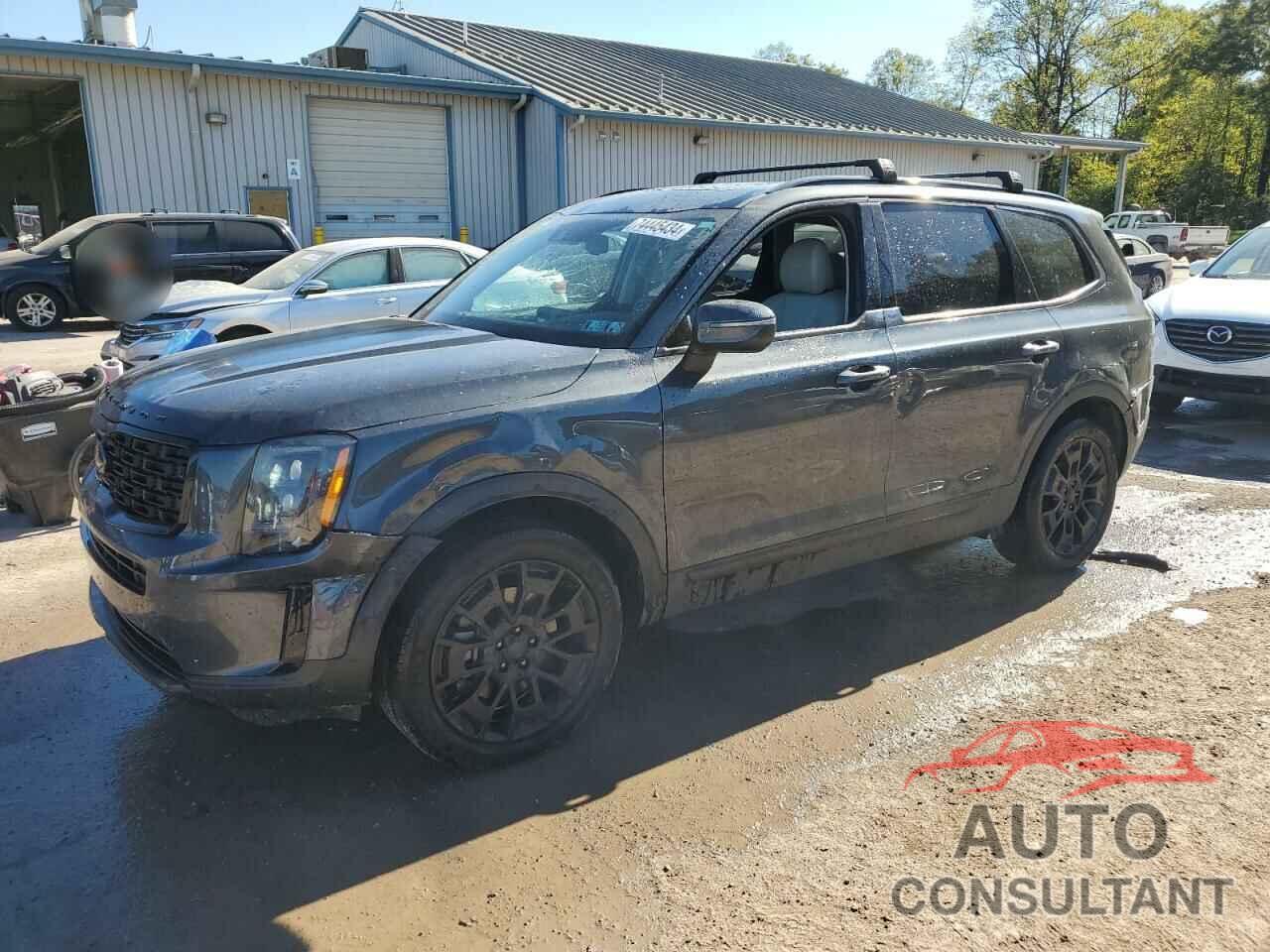 KIA TELLURIDE 2021 - 5XYP3DHC4MG101294