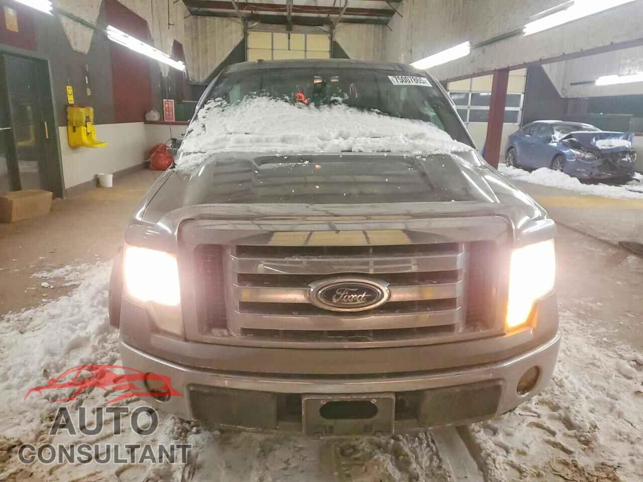 FORD F-150 2009 - 1FTRX12V29FA54329