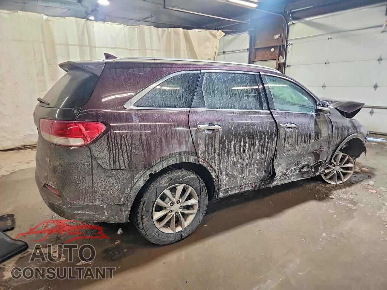 KIA SORENTO 2016 - 5XYPGDA59GG007724