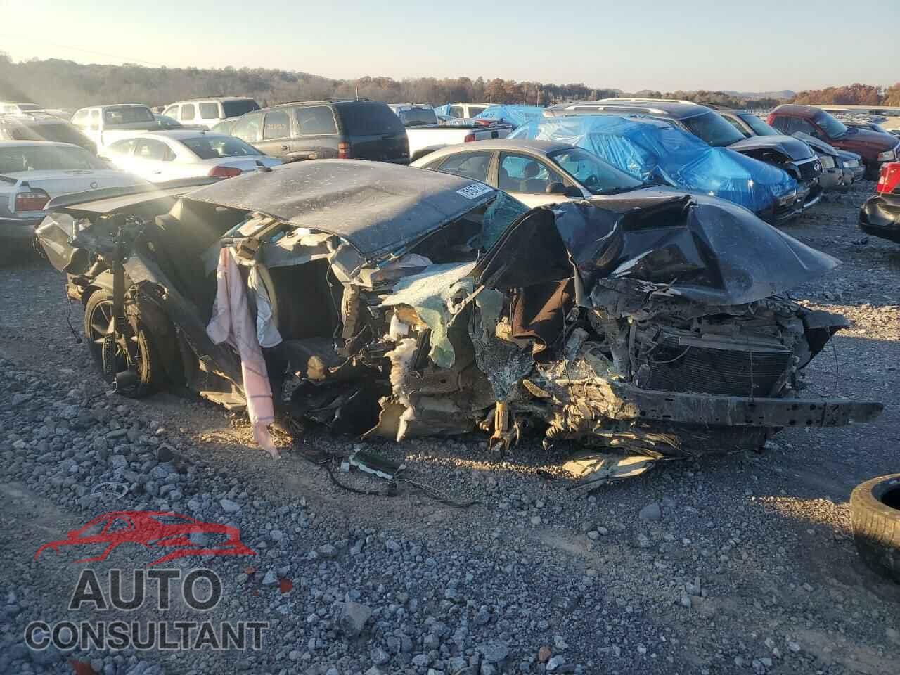 DODGE CHALLENGER 2017 - 2C3CDZAG3HH513966