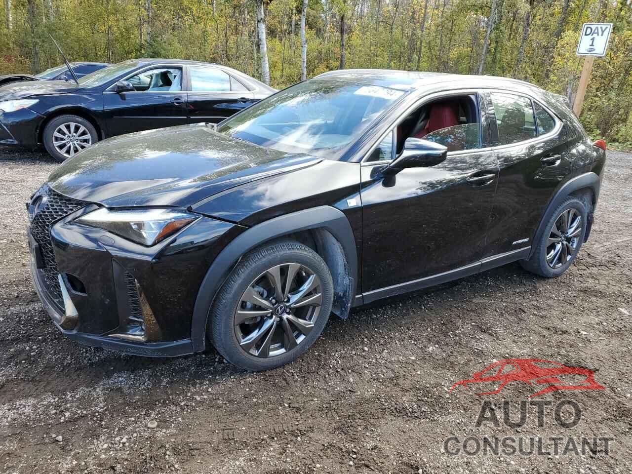 LEXUS UX 250H 2020 - JTHR9JBHXL2030961