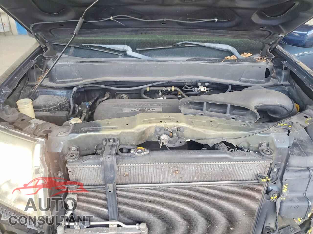 HONDA PILOT 2009 - 5FNYF38529B023071