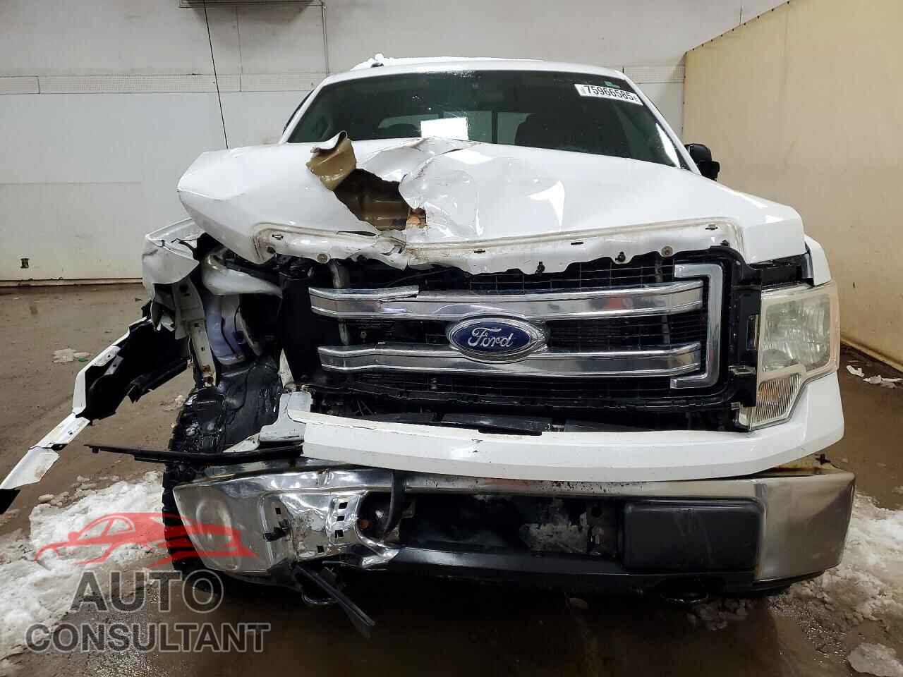 FORD F-150 2013 - 1FTFW1EF2DFD27952
