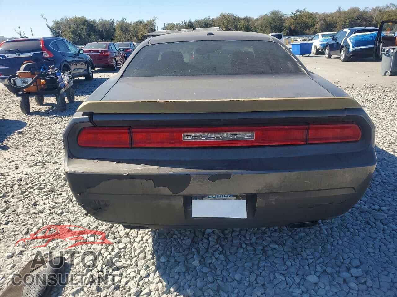 DODGE CHALLENGER 2013 - 2C3CDYAG8DH553819