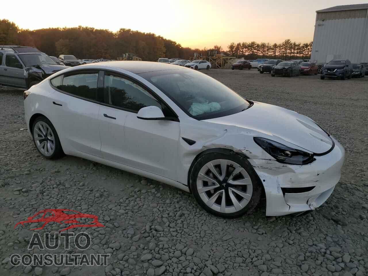 TESLA MODEL 3 2021 - 5YJ3E1EBXMF101052