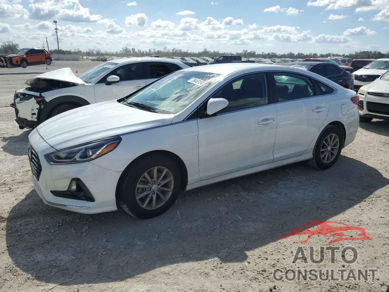 HYUNDAI SONATA 2019 - 5NPE24AF9KH762677