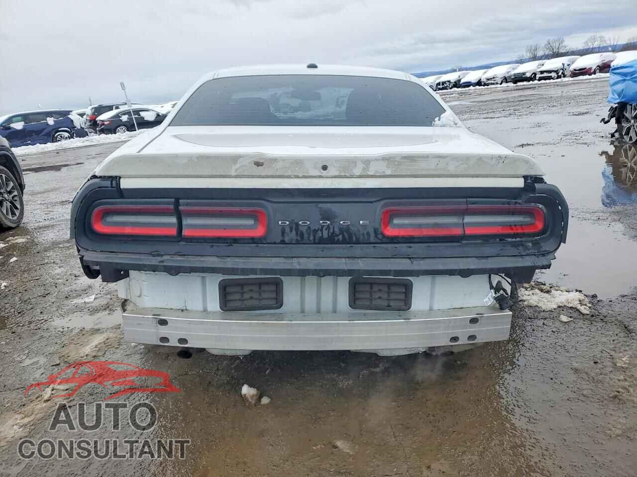 DODGE CHALLENGER 2019 - 2C3CDZAG6KH524659