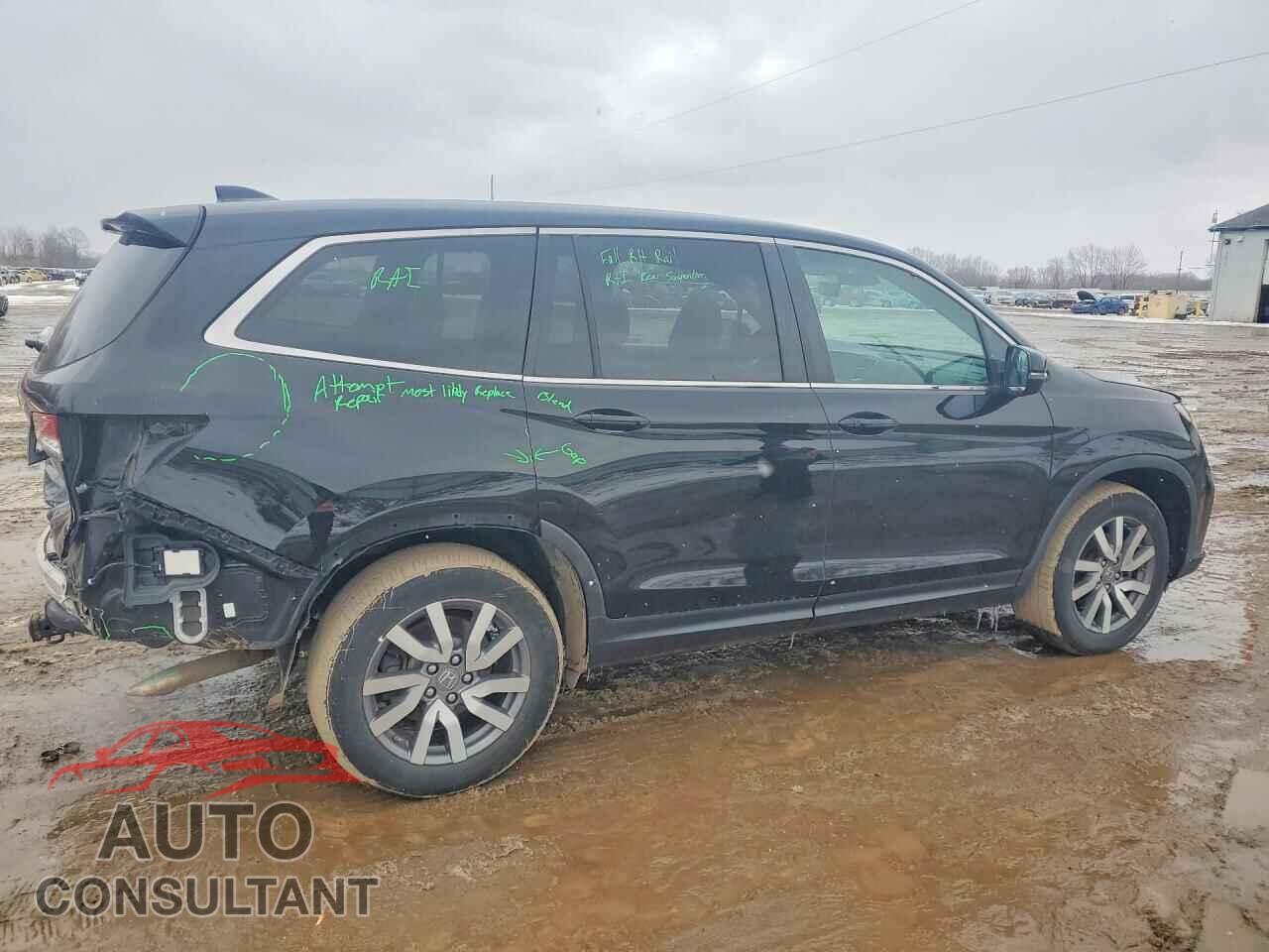 HONDA PILOT 2019 - 5FNYF6H5XKB095546