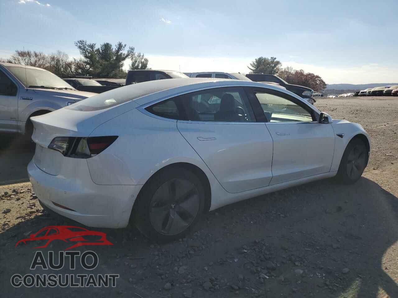 TESLA MODEL 3 2020 - 5YJ3E1EA0LF659658