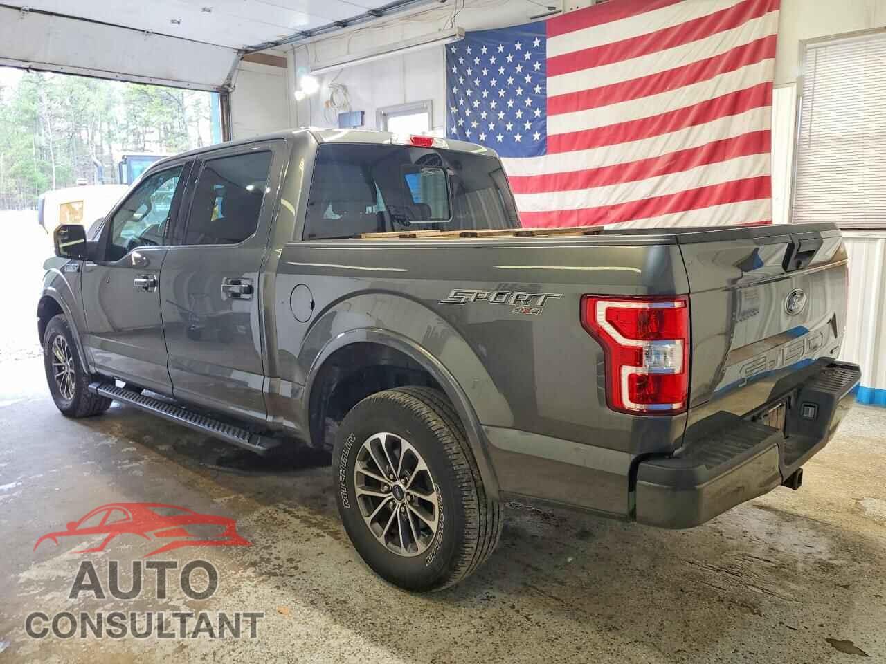 FORD F150 2019 - 1FTEW1EP1KFC00515