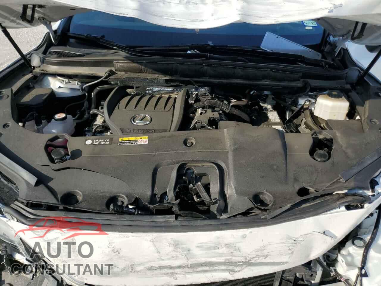 LEXUS RX350 2023 - 2T2BAMBA3PC006048