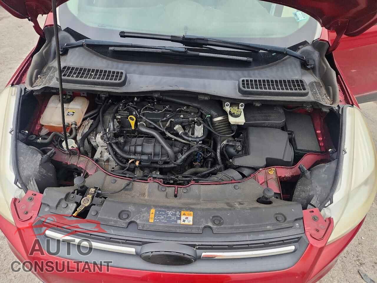 FORD ESCAPE 2013 - 1FMCU9GX2DUB29781