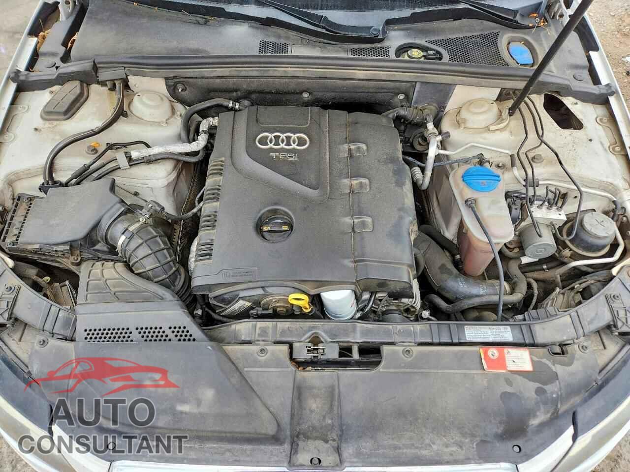 AUDI A4 2010 - WAUFFAFL8AN020028
