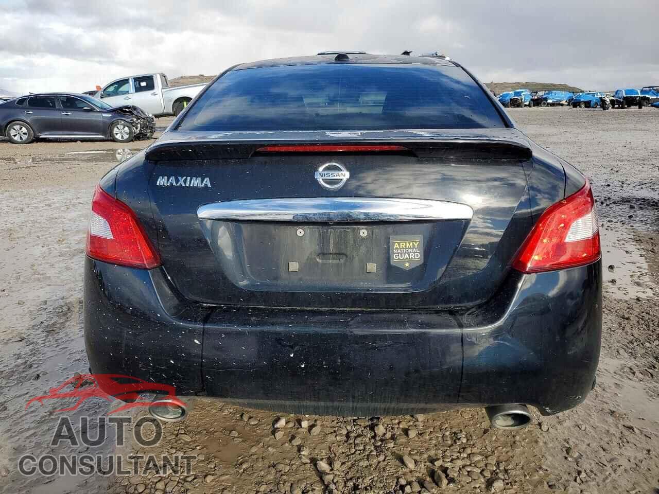 NISSAN MAXIMA 2011 - 1N4AA5AP7BC841850