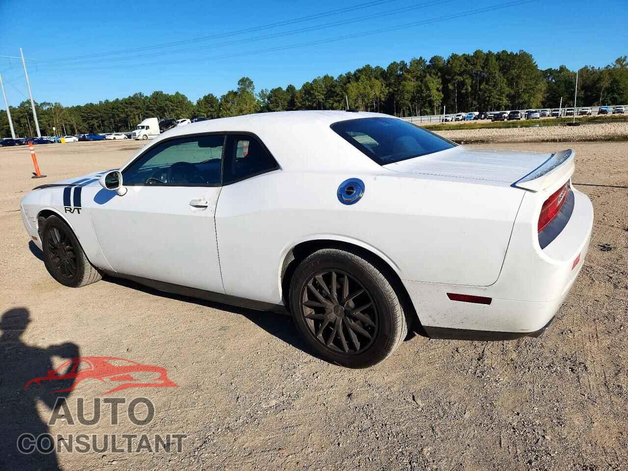 DODGE CHALLENGER 2014 - 2C3CDYBT0EH205316