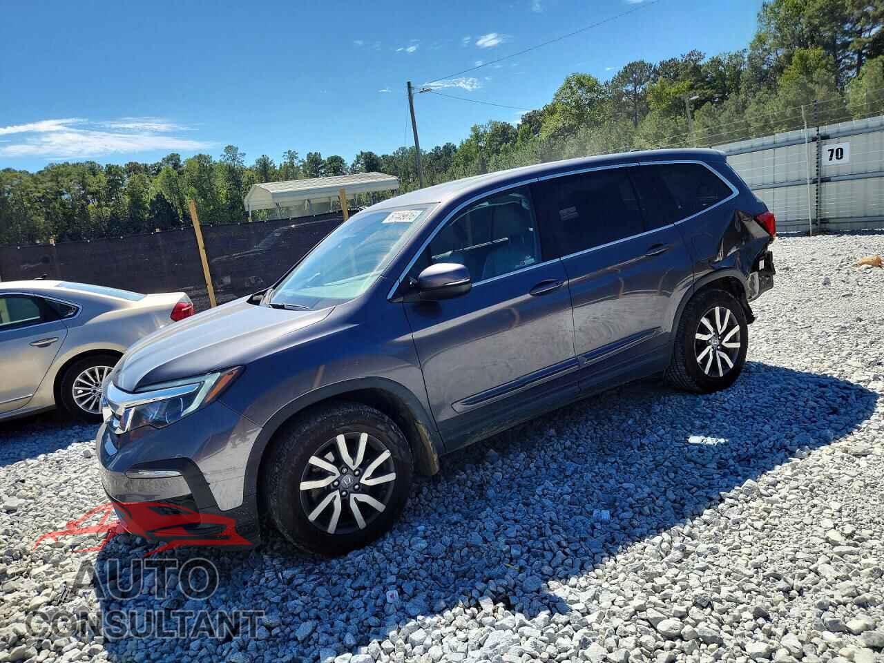 HONDA PILOT 2019 - 5FNYF5H59KB026566