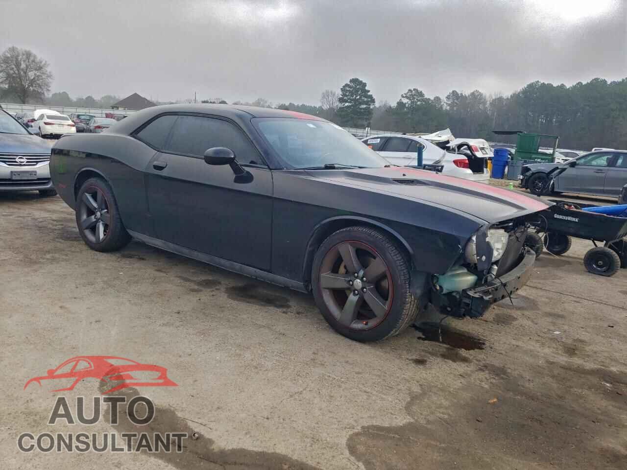 DODGE CHALLENGER 2013 - 2C3CDYAG0DH511418