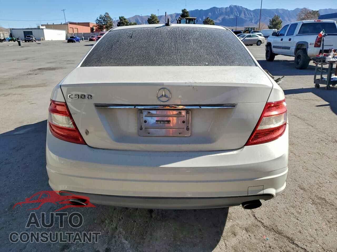 MERCEDES-BENZ C-CLASS 2010 - WDDGF5EB5AF410043