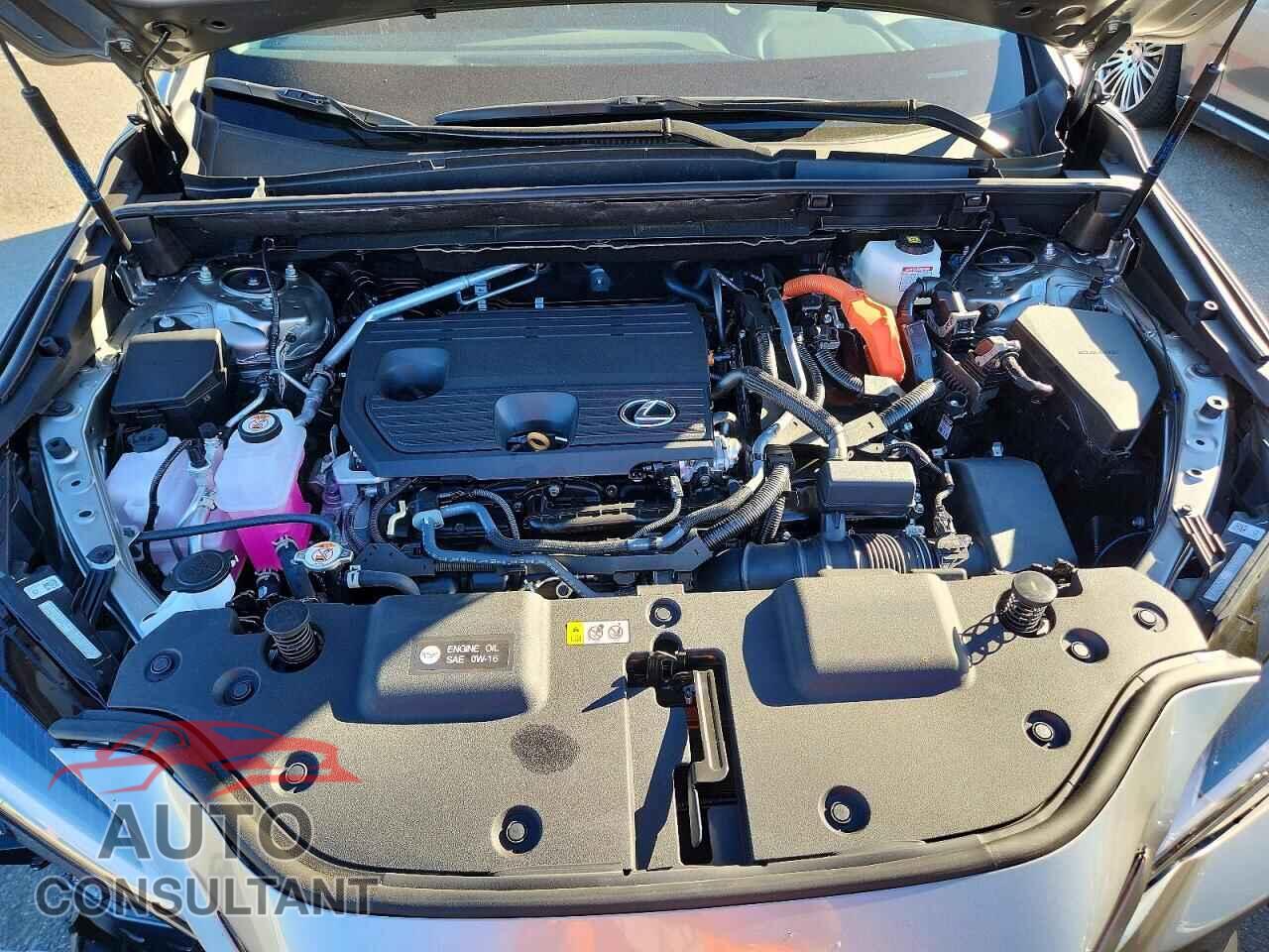 LEXUS NX 2026 - 2T2GKCEZ9TC077702
