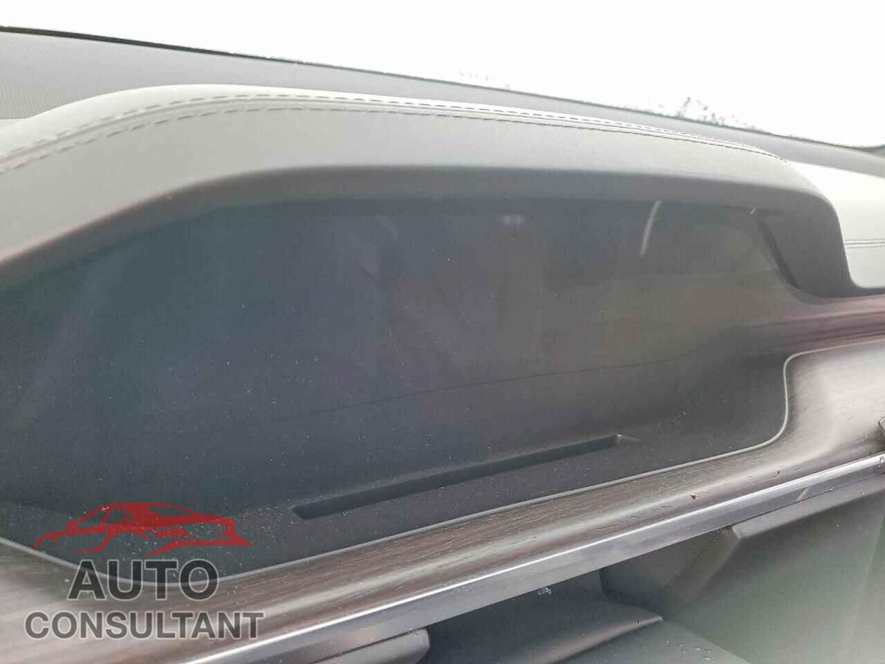 TESLA MODEL X 2023 - 7SAXCBE50PF377691