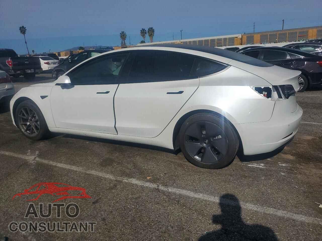 TESLA MODEL 3 2022 - 5YJ3E1EA2NF202837