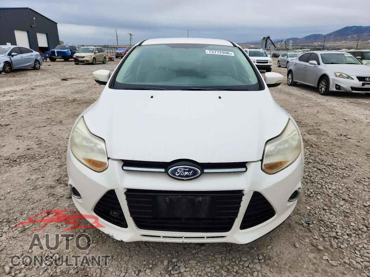 FORD FOCUS 2012 - 1FAHP3M2XCL313481
