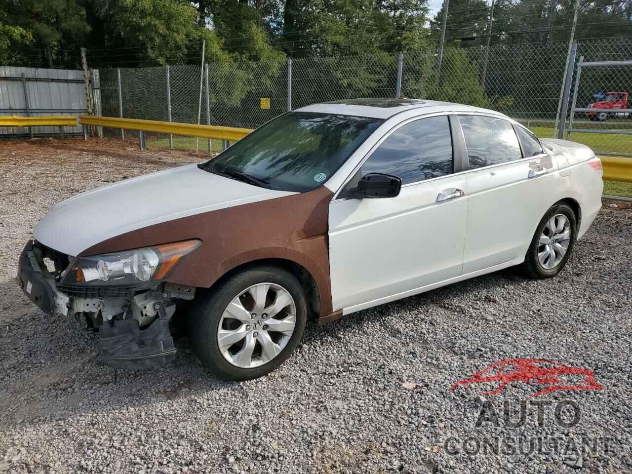 HONDA ACCORD 2010 - 5KBCP3F88AB018760