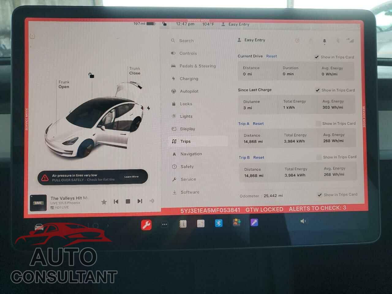 TESLA MODEL 3 2021 - 5YJ3E1EA5MF053841