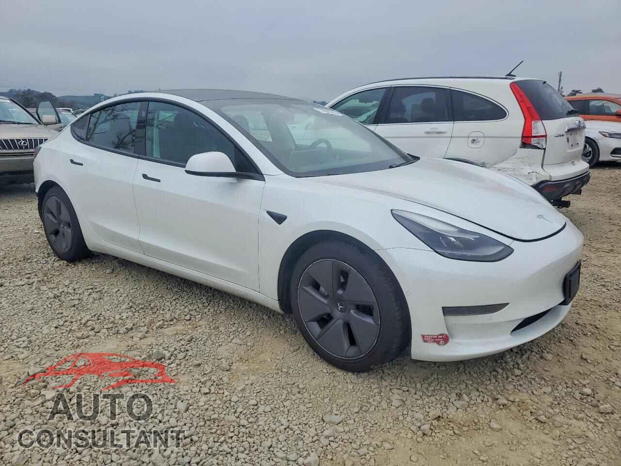 TESLA MODEL 3 2021 - 5YJ3E1EA3MF059122