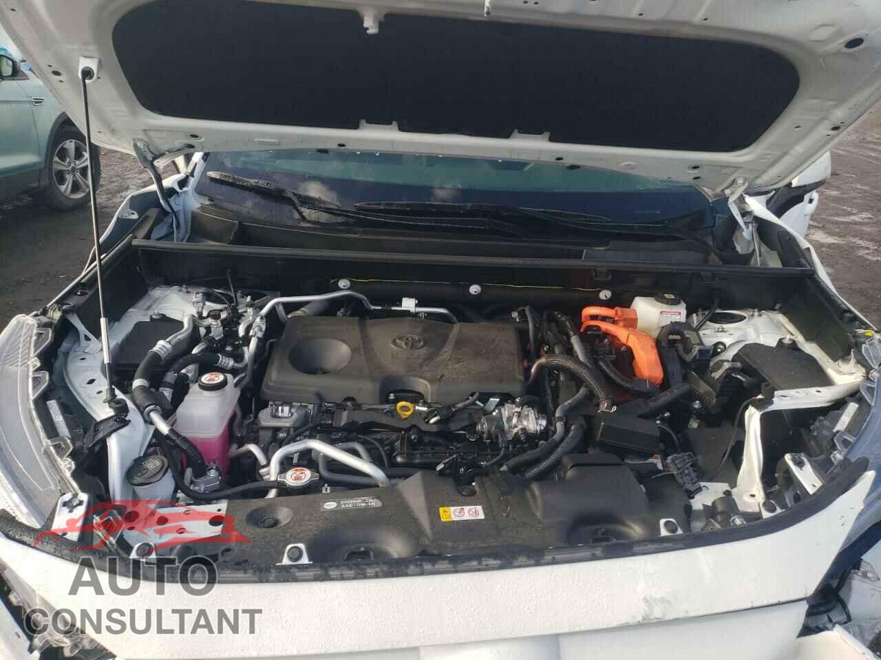 TOYOTA RAV4 2024 - JTMAB3FV0RD178564