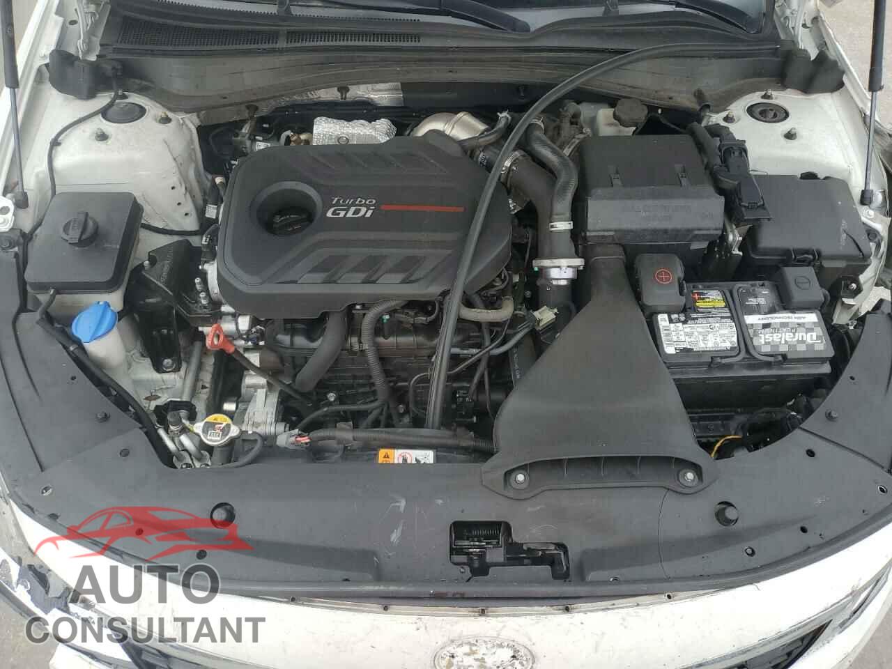 KIA OPTIMA 2019 - 5XXGW4L22KG334470