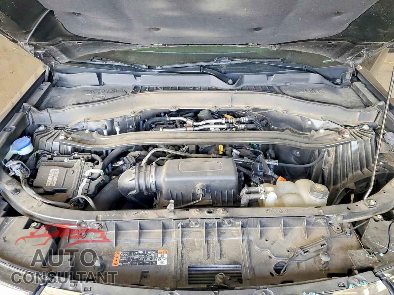 FORD EXPLORER 2021 - 1FMSK7FH5MGA99738