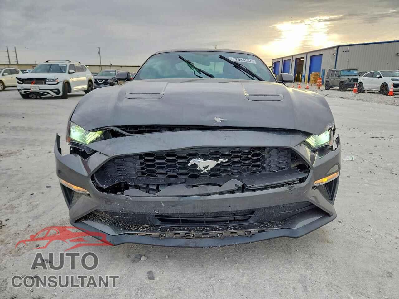 FORD MUSTANG 2019 - 1FA6P8TH7K5130181