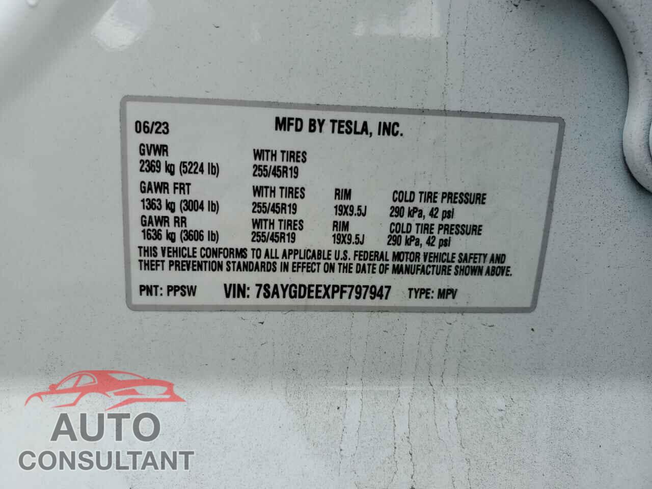TESLA MODEL Y 2023 - 7SAYGDEEXPF797947