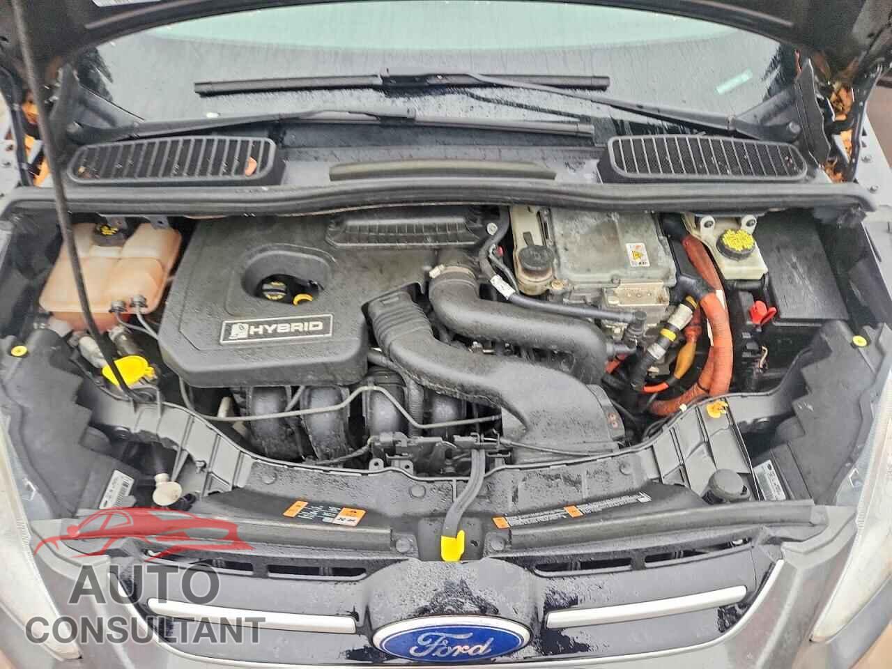 FORD C-MAX 2015 - 1FADP5BU4FL113909