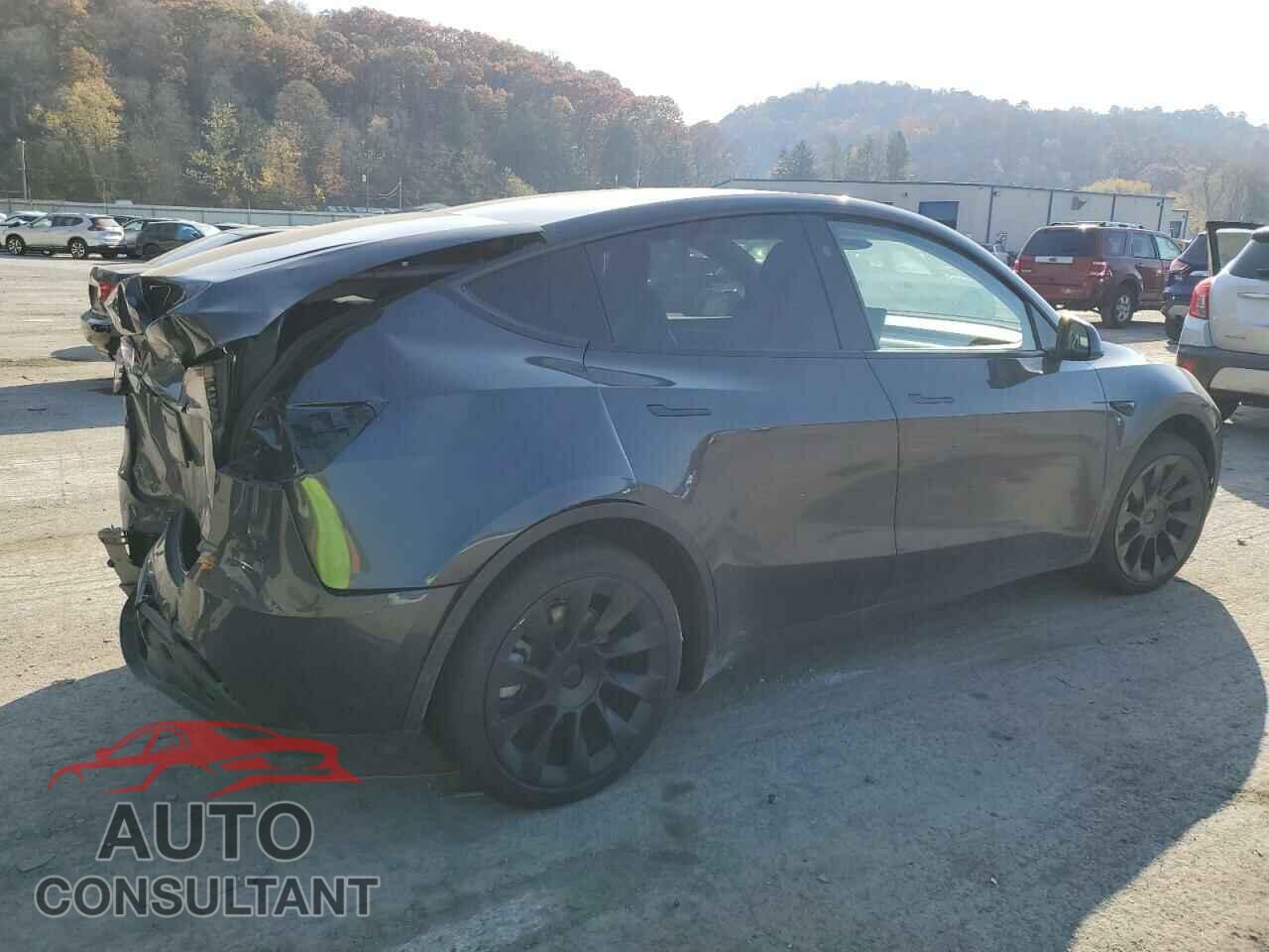 TESLA MODEL Y 2024 - 7SAYGAEE5RF061273