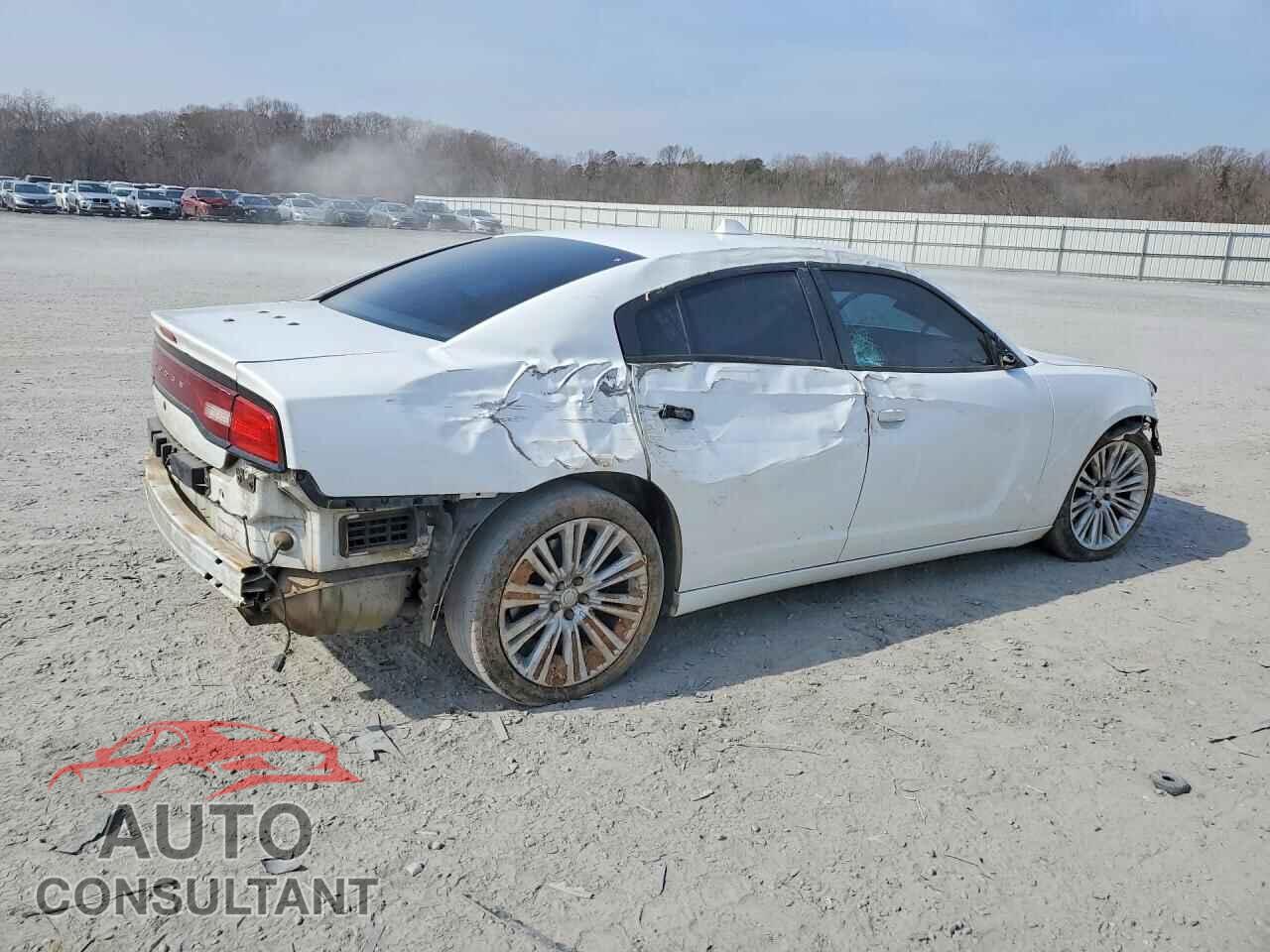 DODGE CHARGER 2013 - 2C3CDXAT0DH713036