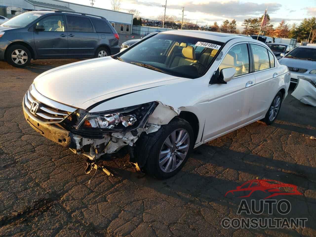 HONDA ACCORD 2011 - 5KBCP3F85BB003764